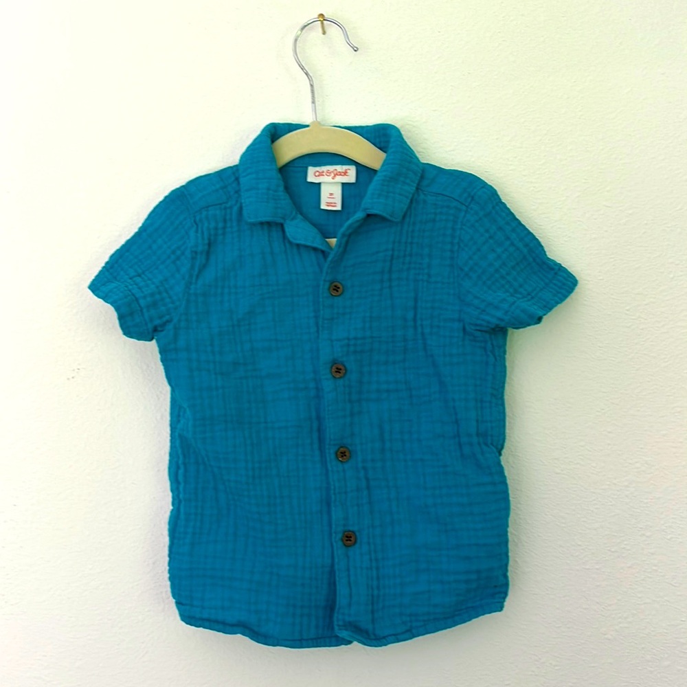 Cat & Jack size 2 button down